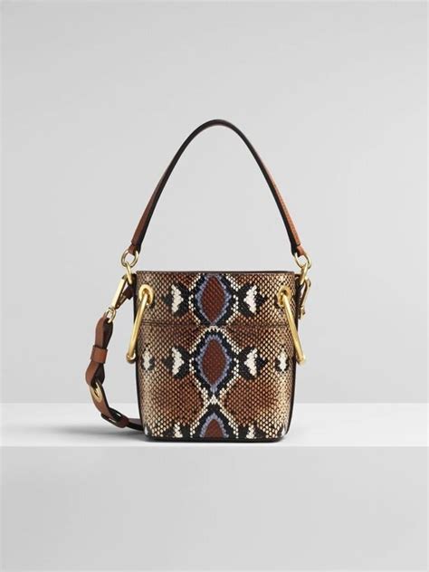 Mini Roy Bucket Bag In Python Print Calfskin 